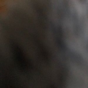 Meet your Posher, Kaycee